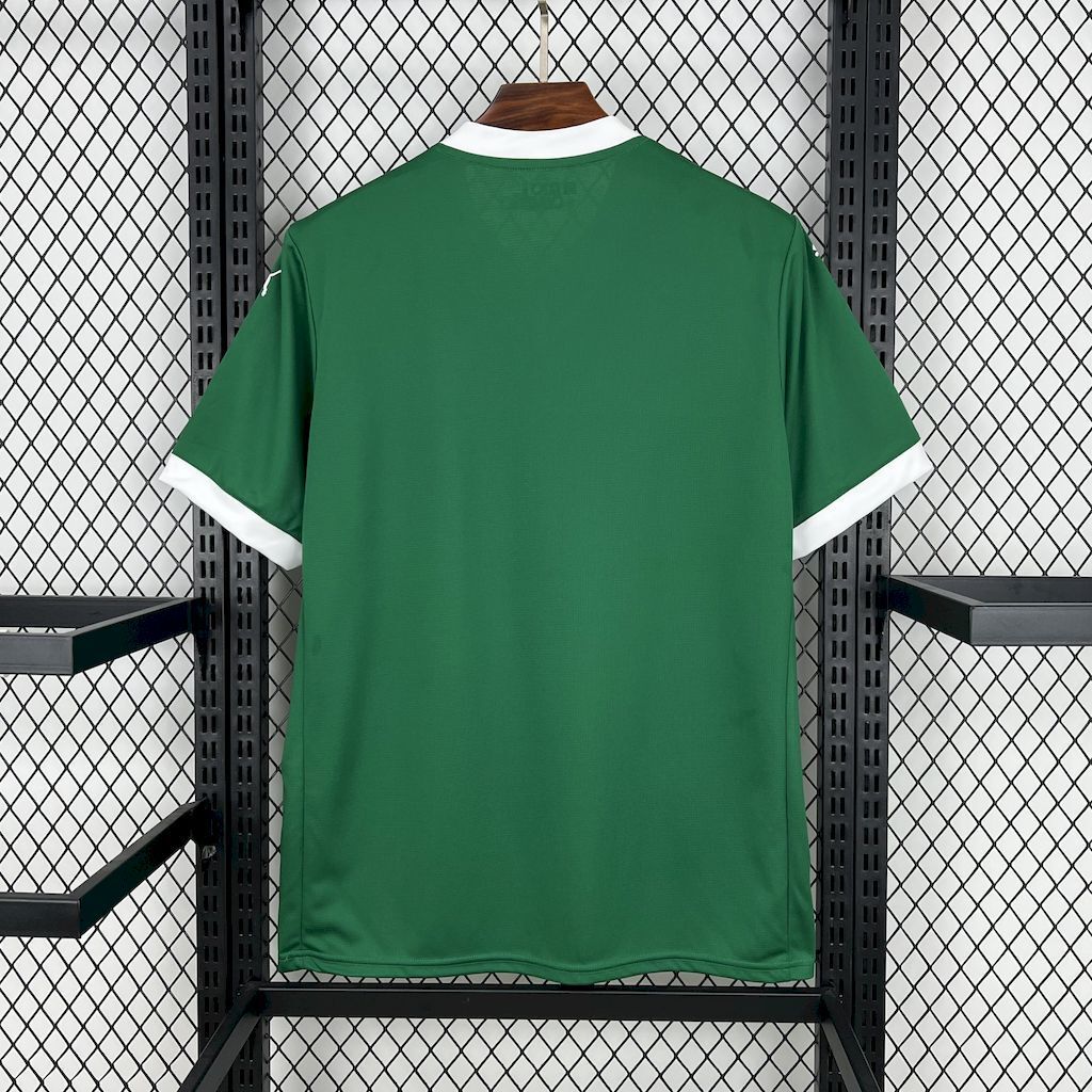 Palmeiras Jersey – 2025 Home | Fan Version |